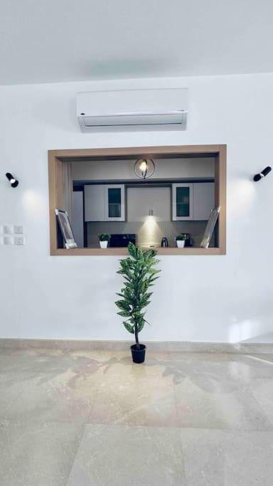 Apartment Uptowncairo Emaar Modern Life In Heart Of